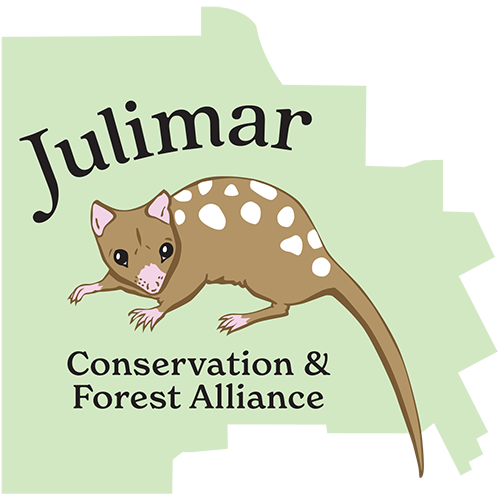 JCAFA logo