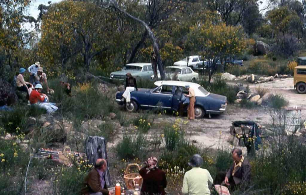 1971 Club outing picnic lunch in the Julimar-State Forest (people and cars)