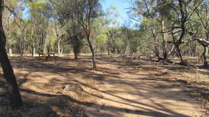 Lloyd Reserve