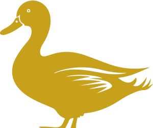 Avon River Waterbird Survey