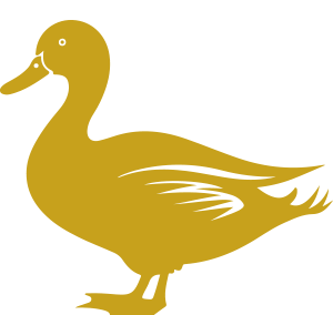 Avon River Waterbird Survey