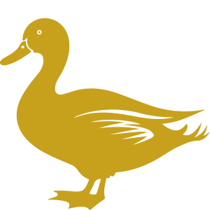 duck icon