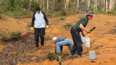 3 members tree planting at Dawn Atwell Reserve