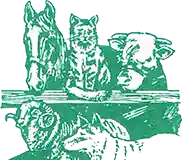 A country practice vet logo