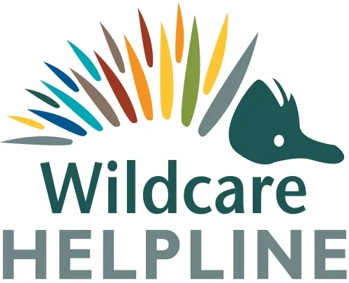 wildcare helpline logo