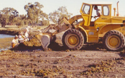 Hundreds of tonnes of weed removed from lake thanks to vollies