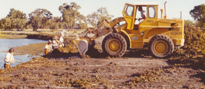 A bulldozer at Tomato Lake Salvinia